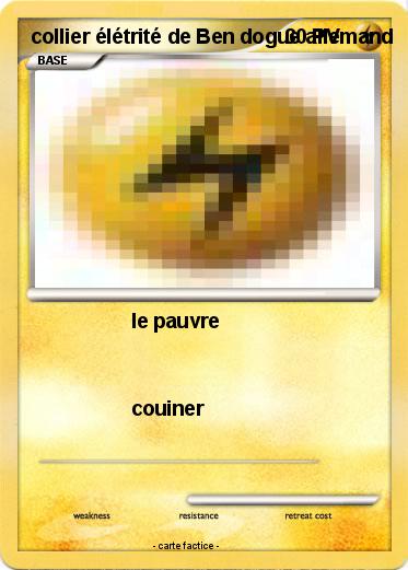 Pokemon collier élétrité de Ben dogue allemand