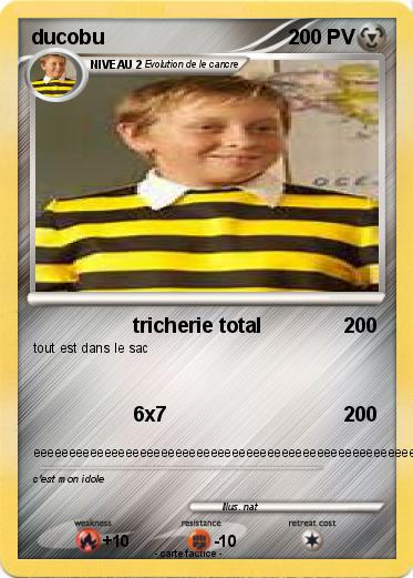 Pokemon ducobu
