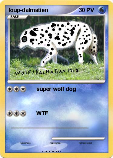 Pokemon loup-dalmatien