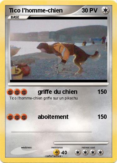 Pokemon Tico l'homme-chien