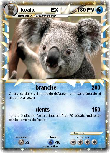Pokemon koala           EX