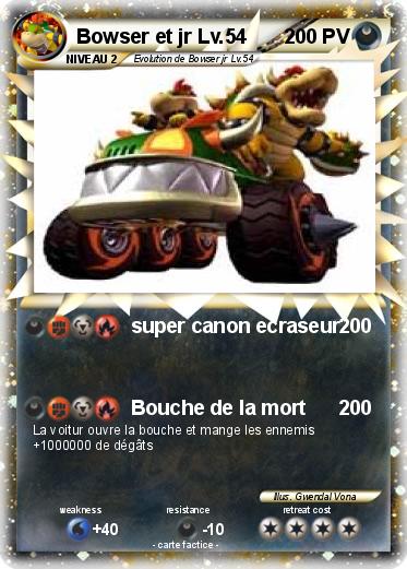 Pokemon Bowser et jr Lv.54