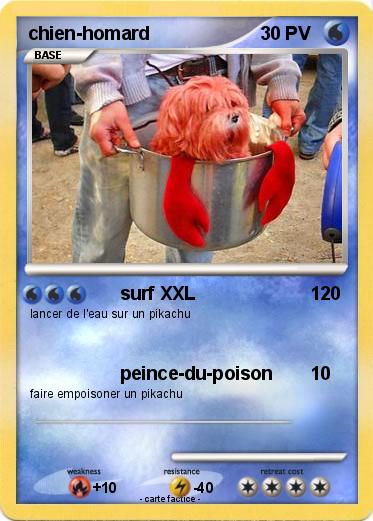 Pokemon chien-homard