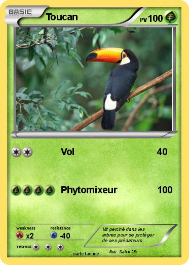 Pokemon Toucan