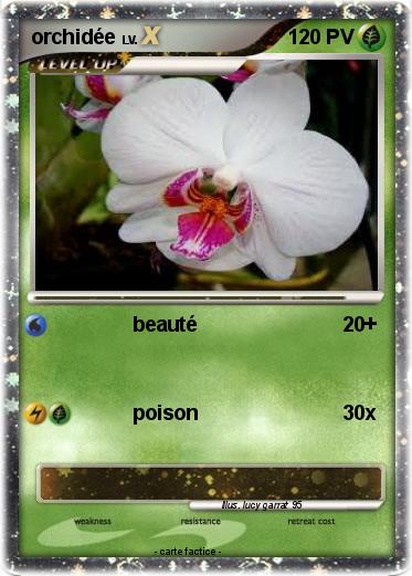 Pokemon orchidée