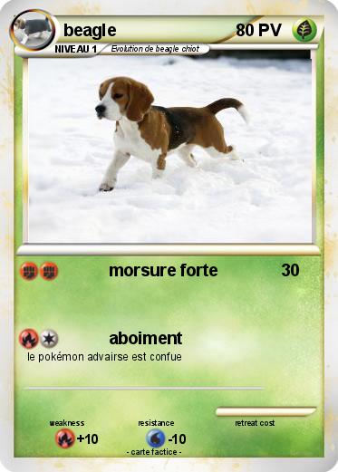Pokemon beagle