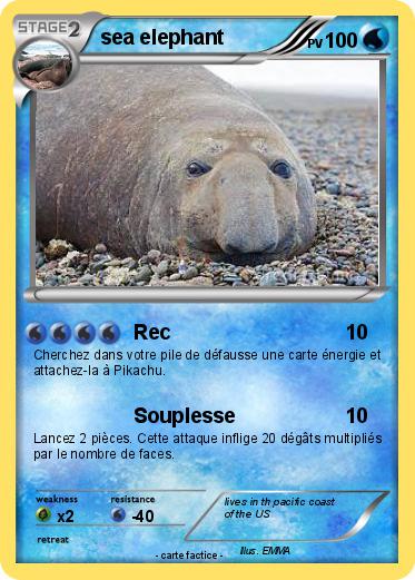 Pokemon sea elephant