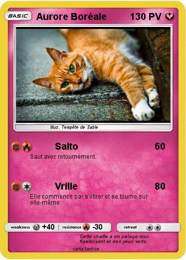 Pokemon Aurore Boréale