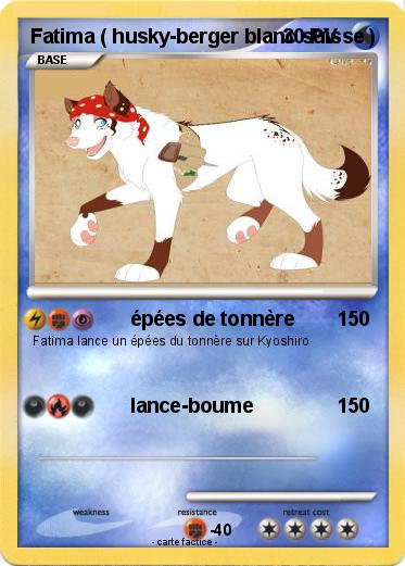 Pokemon Fatima ( husky-berger blanc suisse )