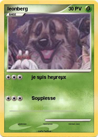 Pokemon leonberg