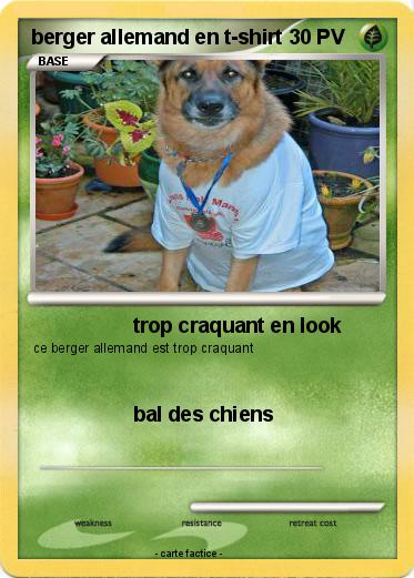 Pokemon berger allemand en t-shirt
