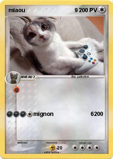 Pokemon miaou                                9