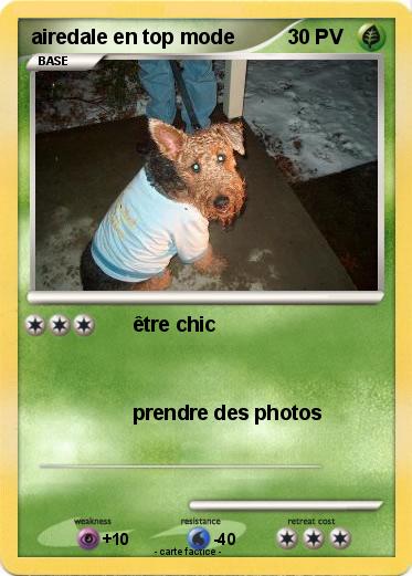 Pokemon airedale en top mode
