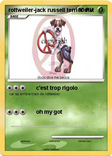 Pokemon rottweiler-jack russell terrier mix