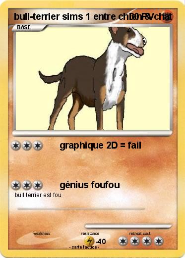 Pokemon bull-terrier sims 1 entre chien & chat