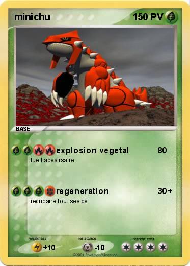 Pokemon minichu