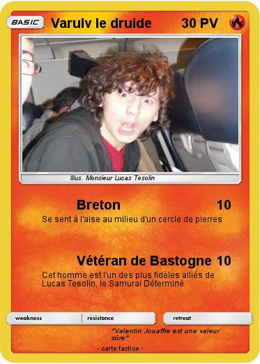 Pokemon Varulv le druide