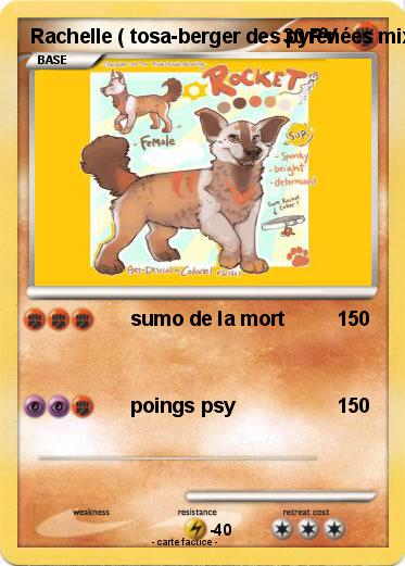 Pokemon Rachelle ( tosa-berger des pyrénées mix )