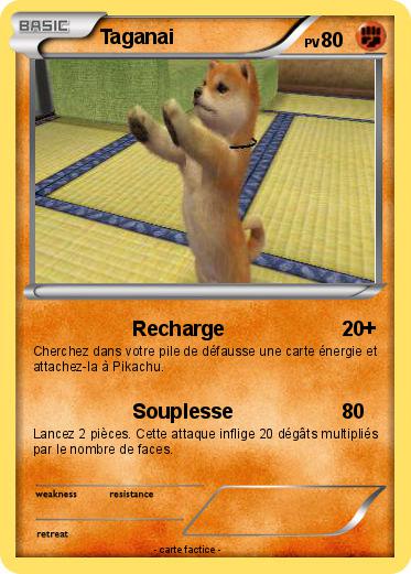 Pokemon Taganai
