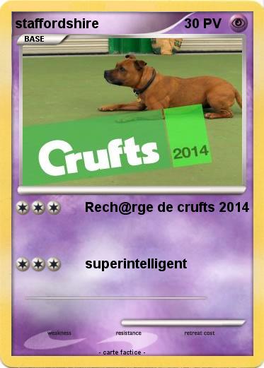 Pokemon staffordshire