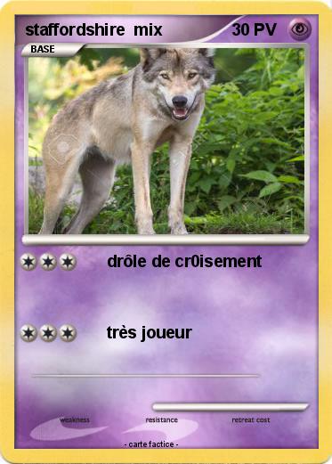 Pokemon staffordshire  mix