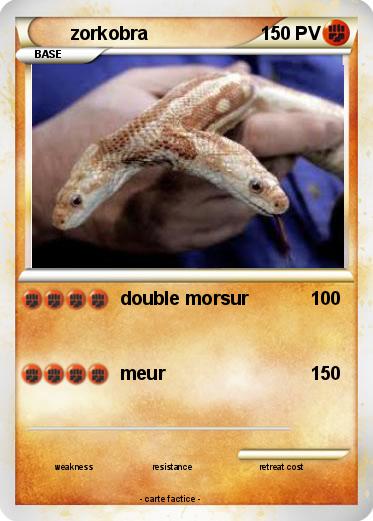 Pokemon zorkobra