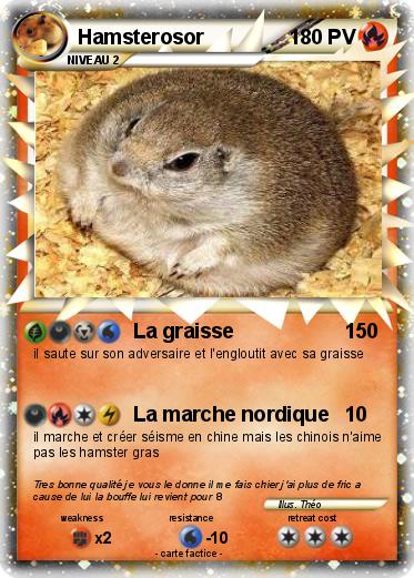 Pokemon Hamsterosor