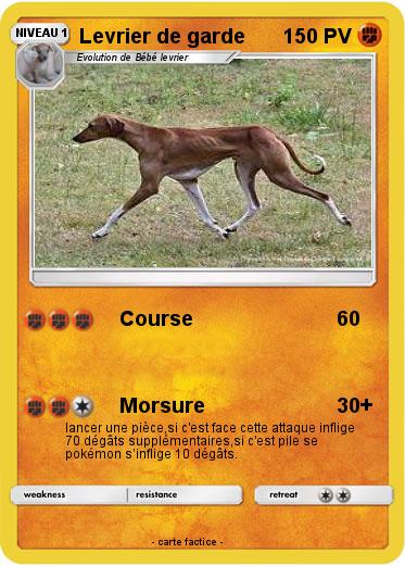 Pokemon Levrier de garde