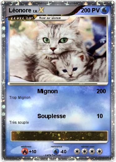 Pokemon Léonore