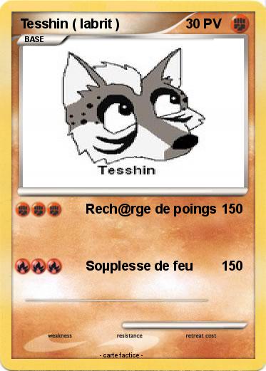 Pokemon Tesshin ( labrit )