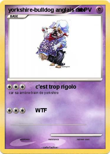 Pokemon yorkshire-bulldog anglais mix