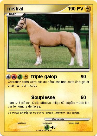 Pokemon mistral