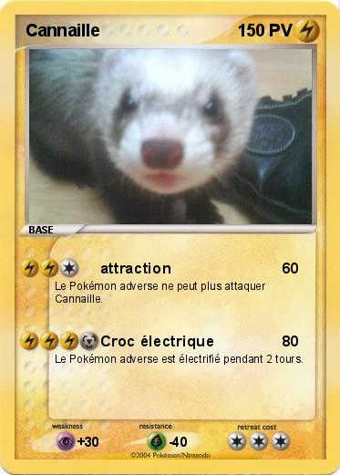 Pokemon Cannaille 