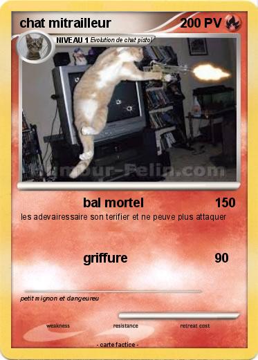 Pokemon chat mitrailleur