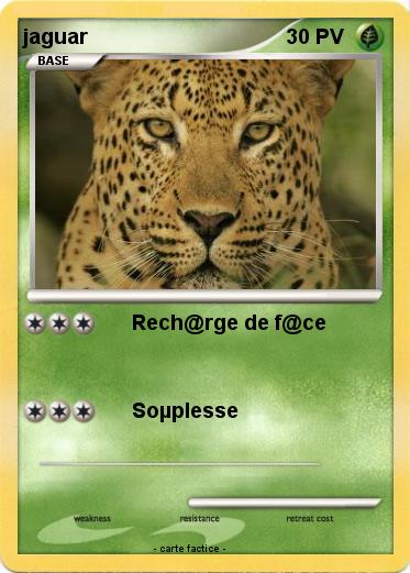 Pokemon jaguar