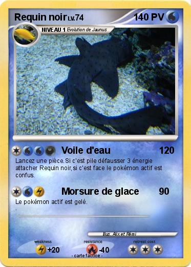 Pokemon Requin noir