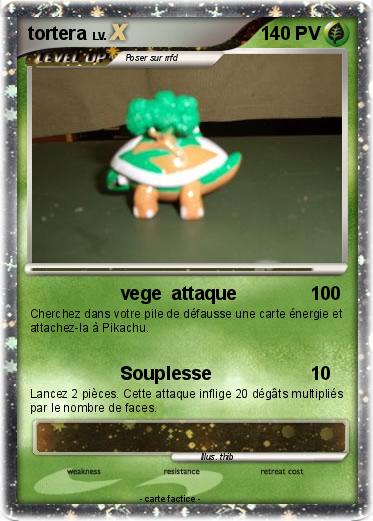 Pokemon tortera