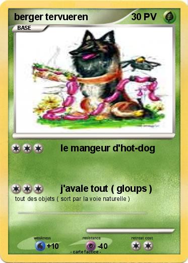 Pokemon berger tervueren