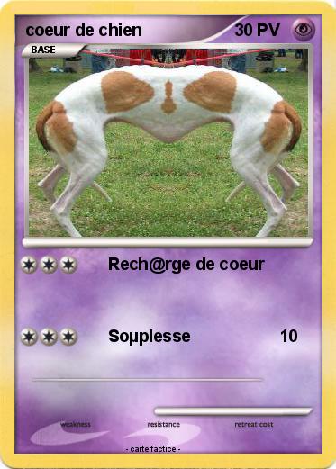 Pokemon coeur de chien