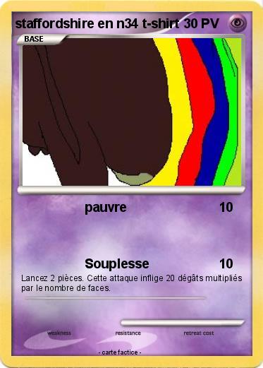 Pokemon staffordshire en n34 t-shirt