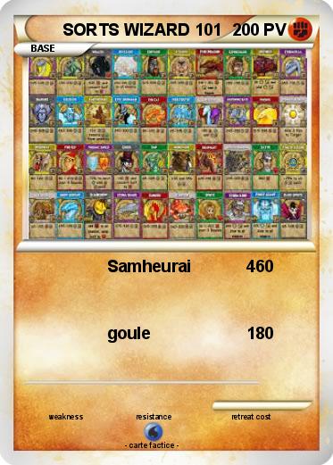 Pokemon SORTS WIZARD 101