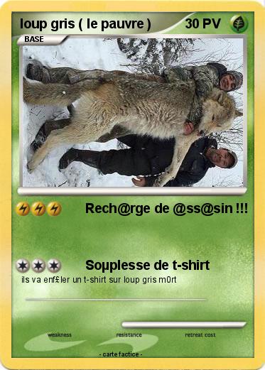 Pokemon loup gris ( le pauvre )