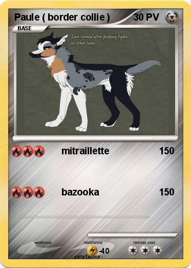 Pokemon Paule ( border collie )
