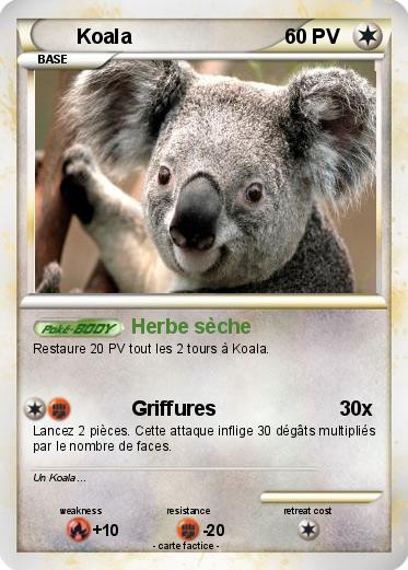 Pokemon Koala