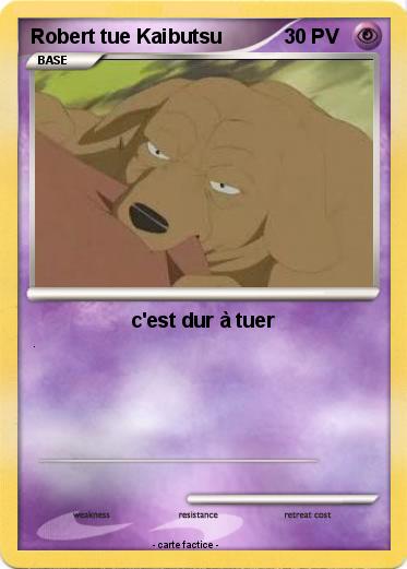 Pokemon Robert tue Kaibutsu