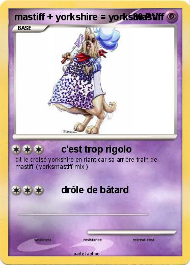 Pokemon mastiff + yorkshire = yorksmastiff