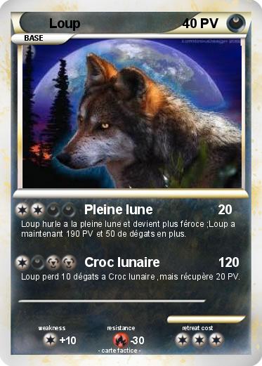 Pokemon Loup