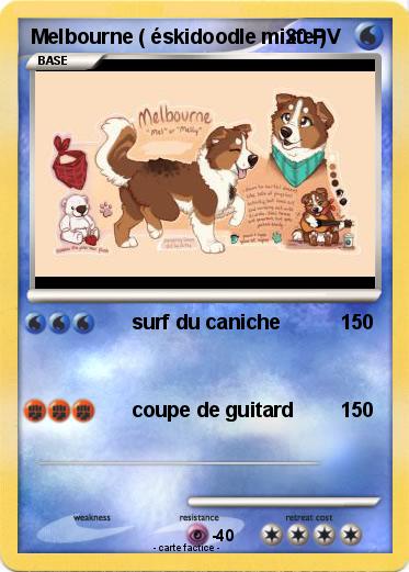 Pokemon Melbourne ( éskidoodle mixte )