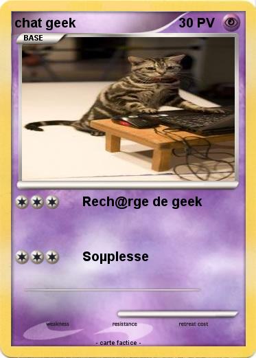 Pokemon chat geek