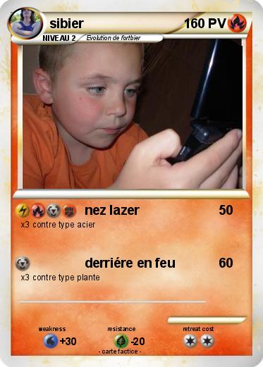 Pokemon sibier